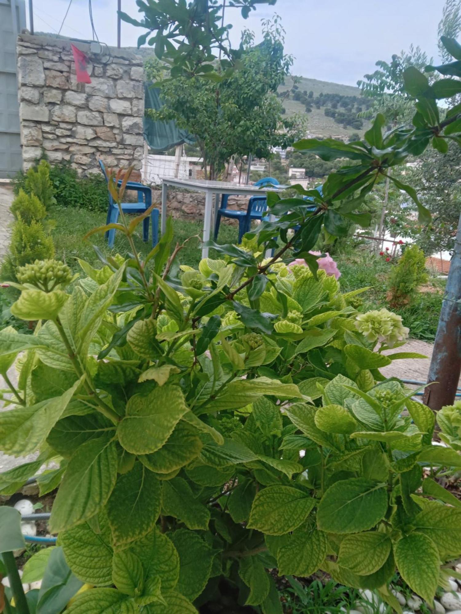 Vjollca'S Home Sarande Exterior photo