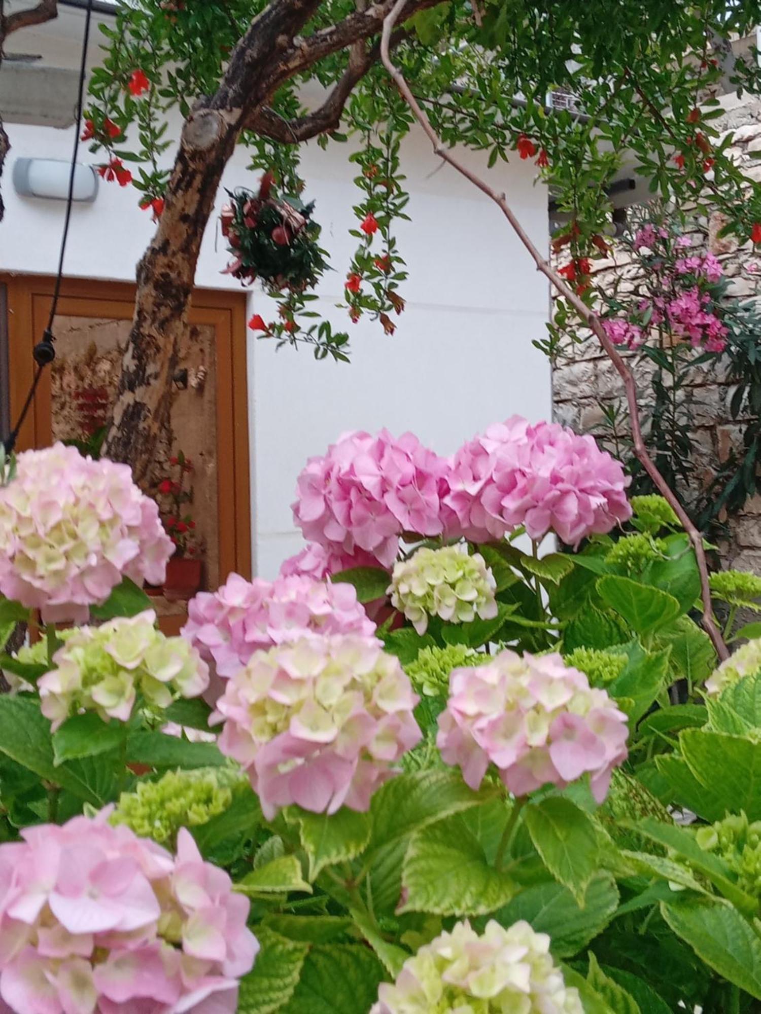 Vjollca'S Home Sarande Room photo