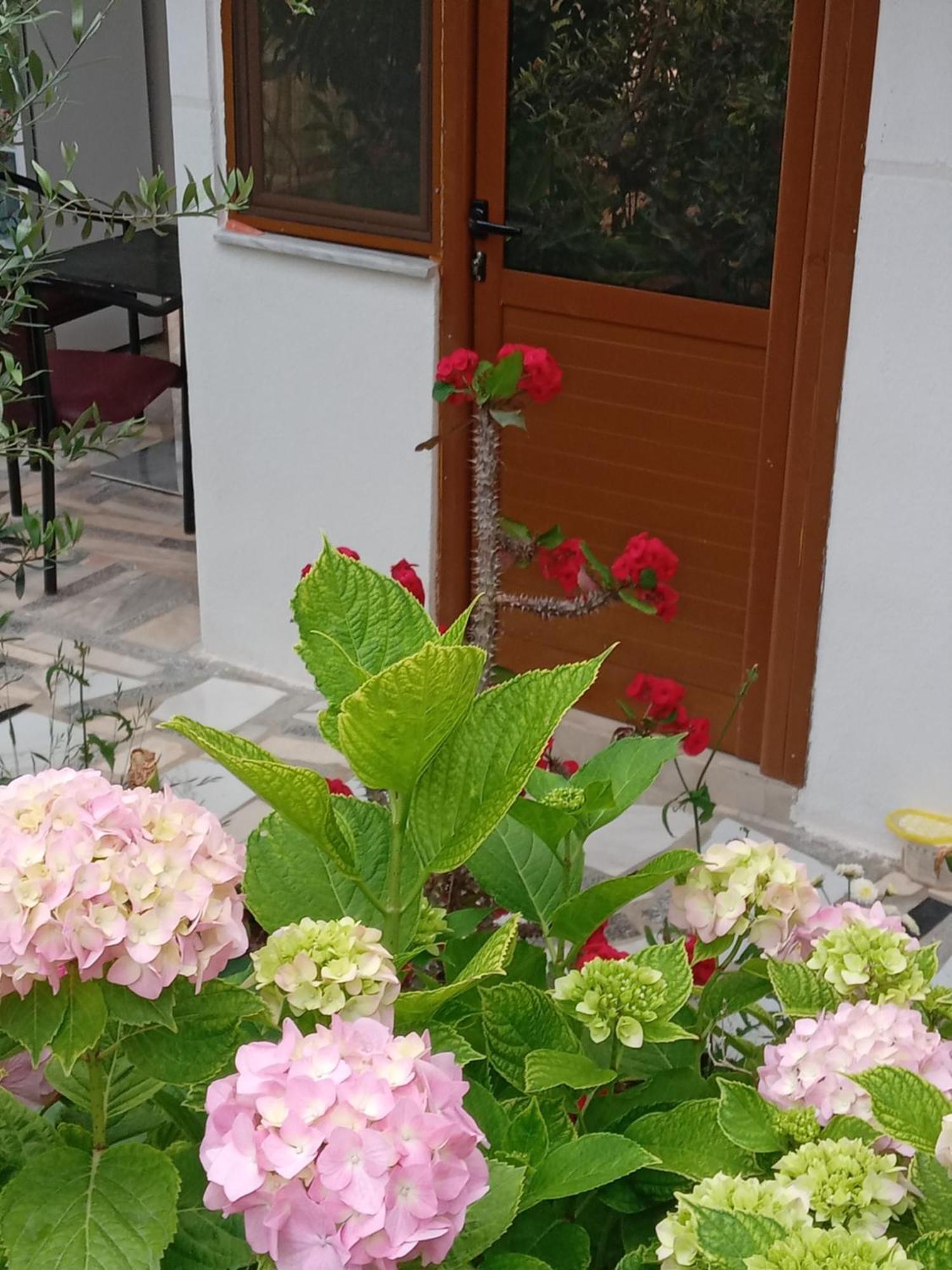 Vjollca'S Home Sarande Room photo
